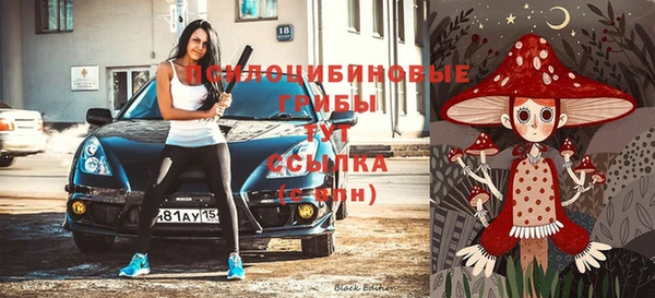 стафф Баксан