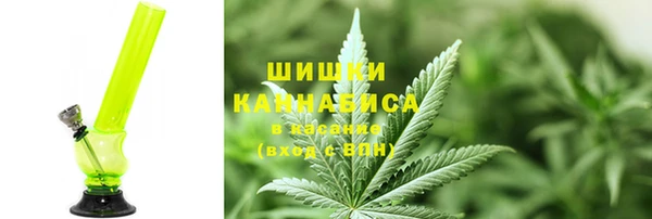 шишки Аркадак