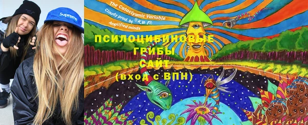 стафф Баксан